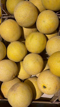 Melon
