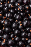 Blackcurrant