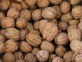 Nutmeg